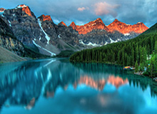 穆雷27+6小波特38+10 掘金主场险胜篮网