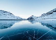 穆雷27+6小波特38+10 掘金主场险胜篮网